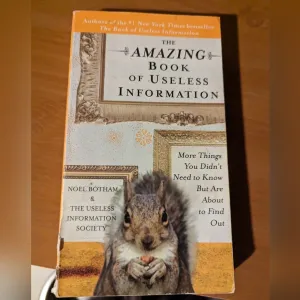 The Amazing Book of Useless Information by Noel Bothan